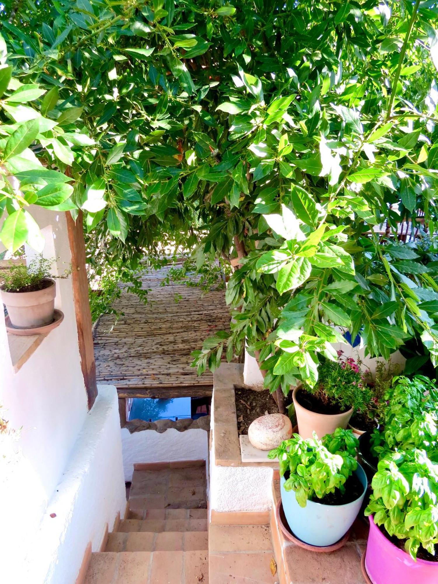 מונאצ'יל El Encanto מראה חיצוני תמונה
